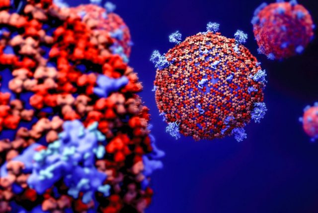 Coronavirus particles, illustration